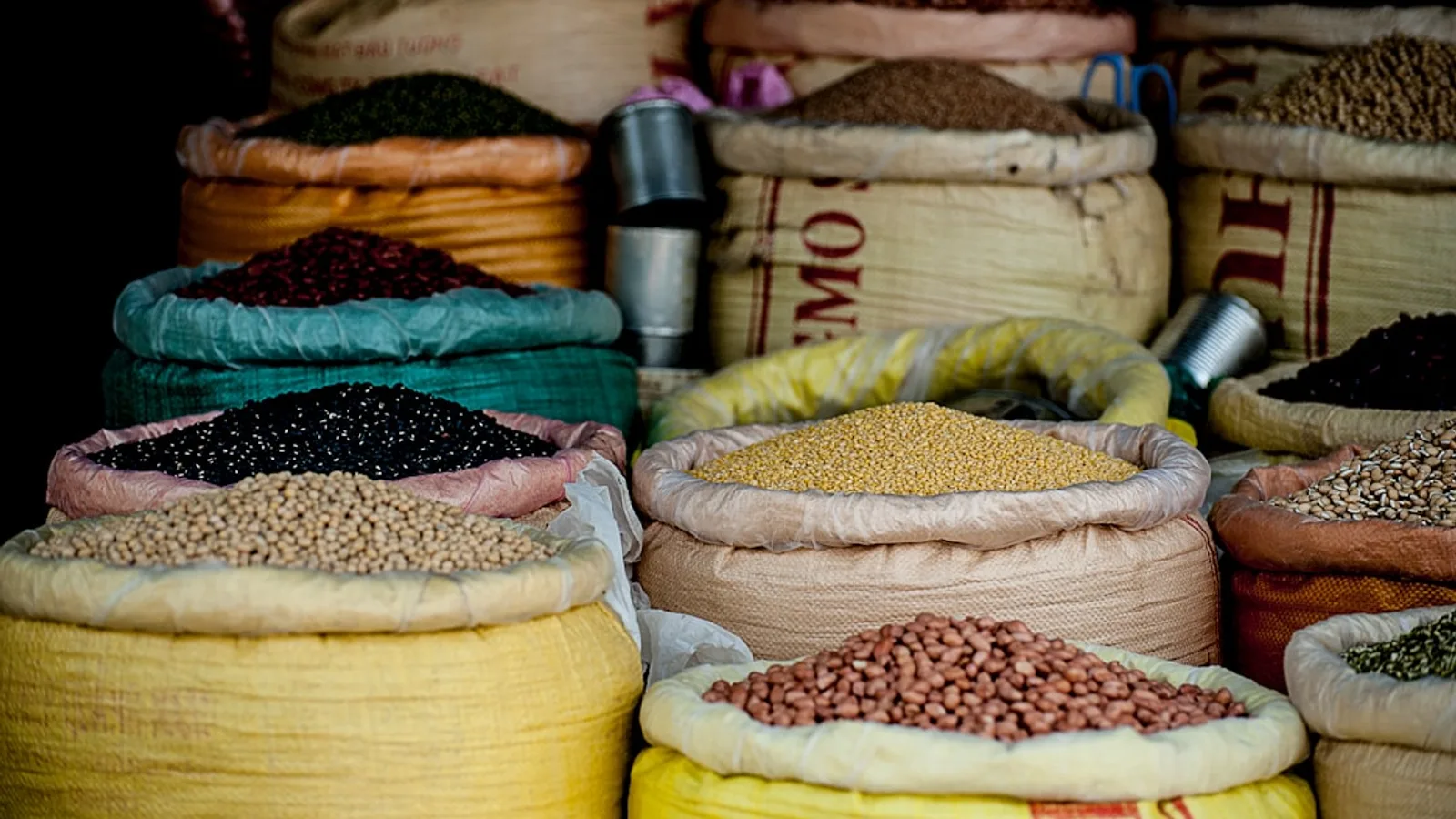 What Are Short-Chain Fatty Acids and Why Do They Matter?