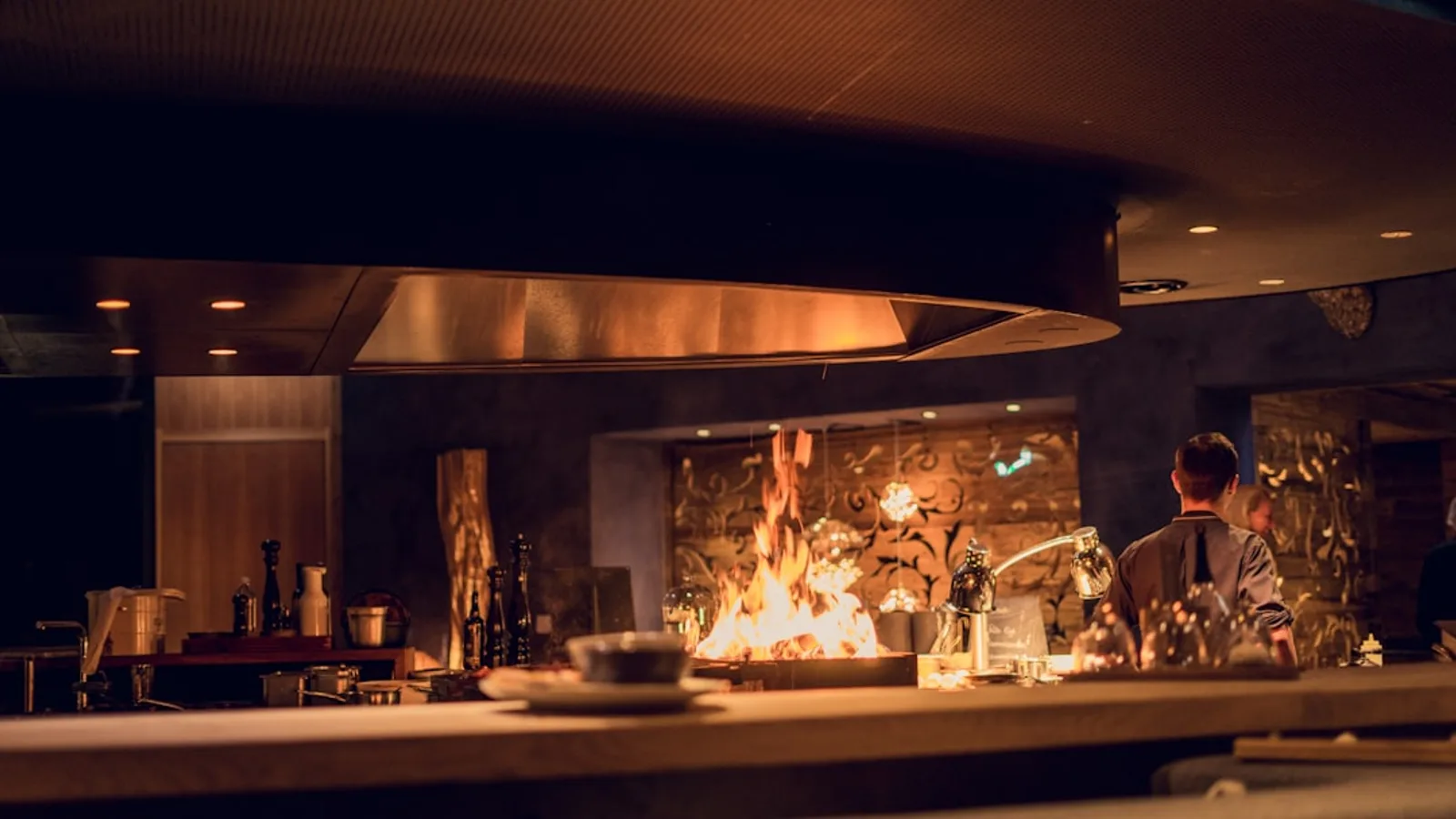 Why Do Humans Cook Food? How Fire Changed Our Biology