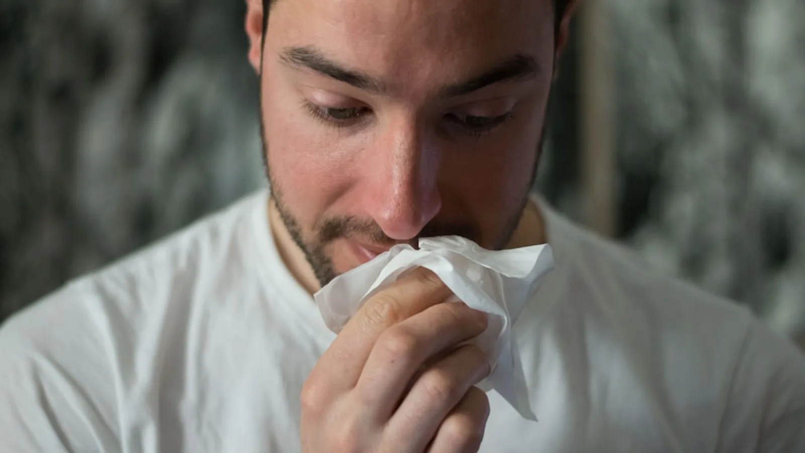 Why Do We Sneeze?