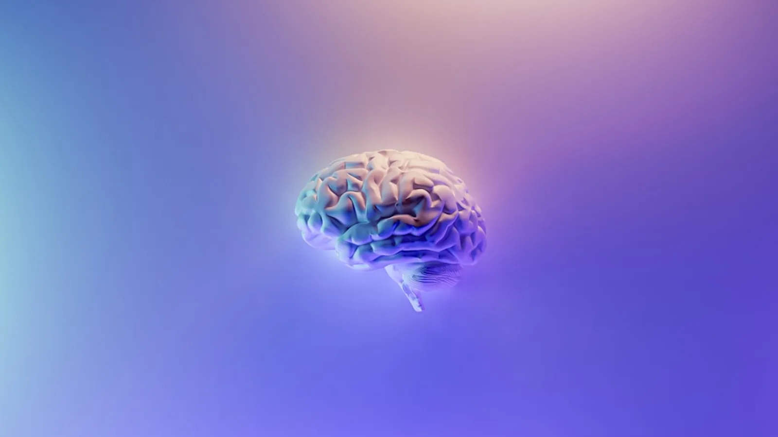 Why Does Your Gut Affect Your Brain? The Gut-Brain Axis Explained